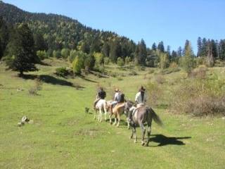 Excursiones a caballo por entornos naturales